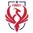 弗姆盖特金克里克女足logo